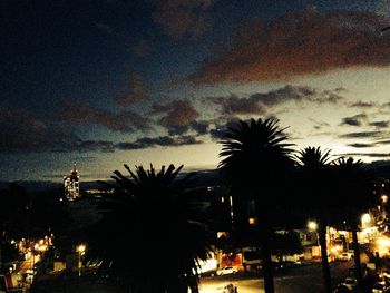 Palm trees against cloudy sky