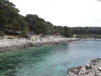 Scenic view of river in forest against sky