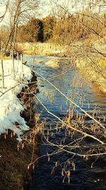 Reflection of trees in lake during winter