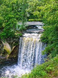 Scenic view of waterfall in forest