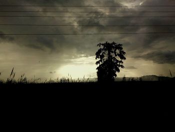 Silhouette tree on field against sky at sunset