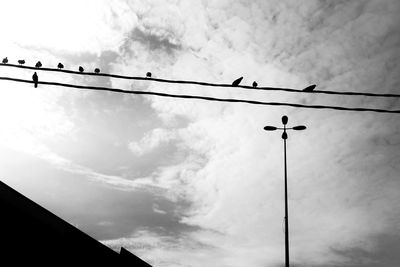 Low angle view of silhouette birds on cable against sky