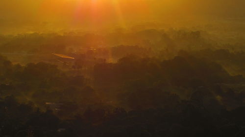 Trees growing on field during sunset