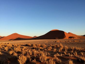 Scenic view of desert against clear blue sky