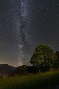 Scenic view of star field against sky at night