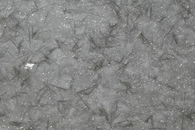 Full frame shot of frozen water