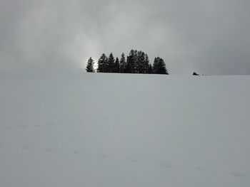 Trees on snow covered field against sky