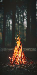 fire