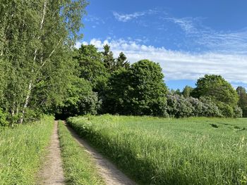 Trees growing on field against sky