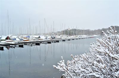 Sailboats moored in harbor against sky during winter