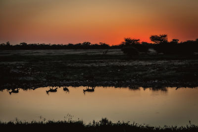 Scenic view of lake against orange sky