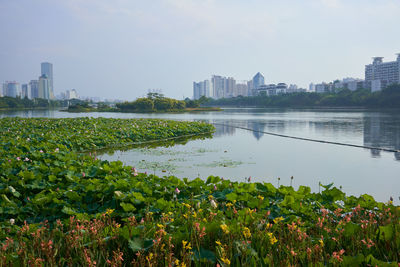 Scenic view of lake by buildings against sky