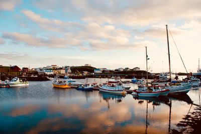 Sailboats moored at harbor