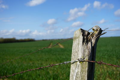 Close-up of fence