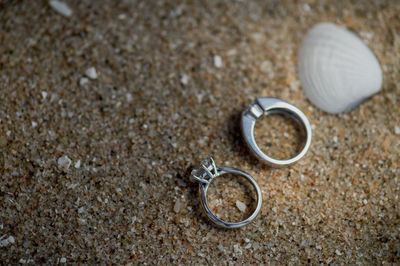 High angle view of seashell on sand