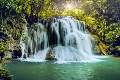 Scenic view of waterfall in forest