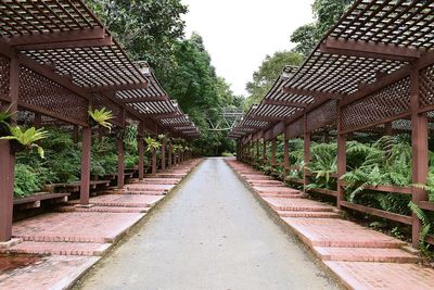 Walkway amidst trees against sky