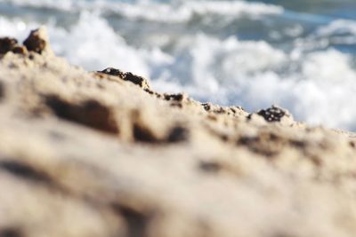 Close-up of rocks on shore