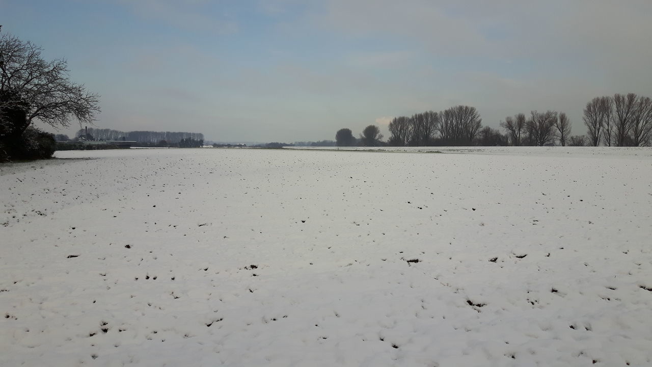 SURFACE LEVEL OF SNOW COVERED LAND AGAINST SKY