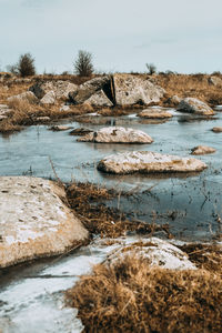 Scenic view of shore against sky