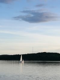 Sailboat sailing on sea against sky