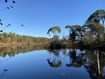 Scenic view of lake against clear blue sky