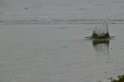 View of a boat in a lake
