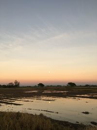 Scenic view of field against sky during sunset