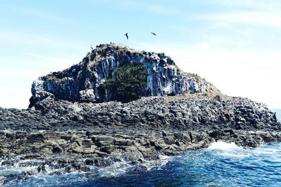 Seagull flying over rock formation in sea against sky