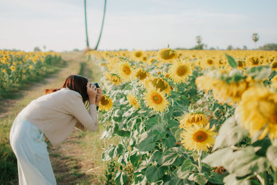 High angle view of woman on sunflower field