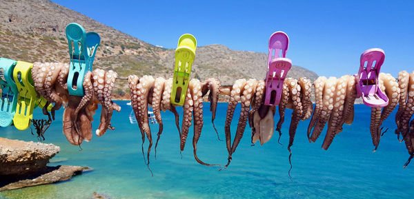 Low angle view of fish hanging in sea against clear blue sky