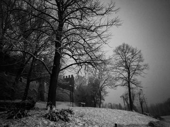 Bare trees on snow covered landscape