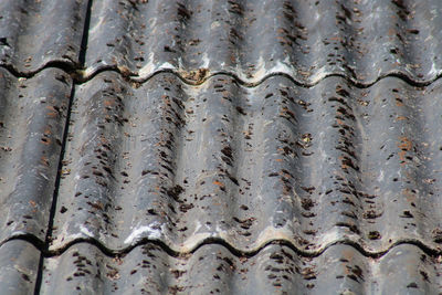 Full frame shot of raindrops on roof