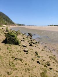 Surface level of sandy beach against clear sky