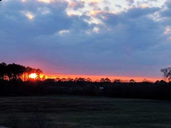 Silhouette trees on field against sky at sunset