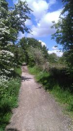 Dirt road along landscape