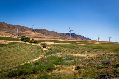 Scenic view of field against clear blue sky