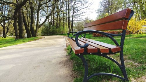 Empty bench in park