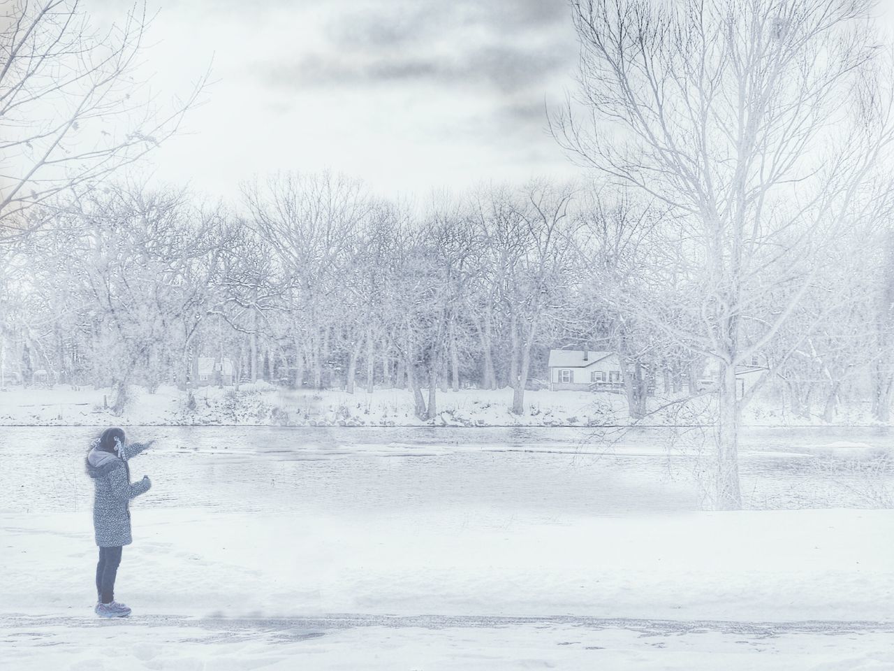 MAN ON SNOW COVERED TREES AGAINST SKY