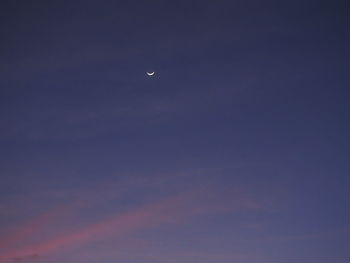 Low angle view of moon in sky at night