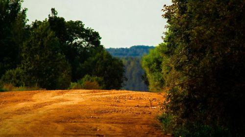 Scenic view of field and trees against sky