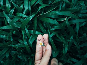 Cropped hands of person with anthropomorphic face on finger against plant