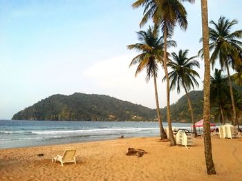 Scenic view of beach against clear sky