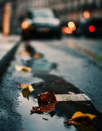 Close-up of dry leaves in puddle on city street