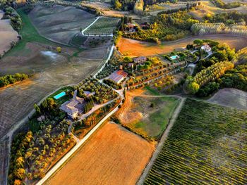 High angle view of agricultural field