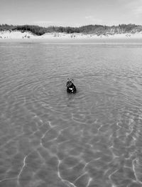 View of swimming in calm lake