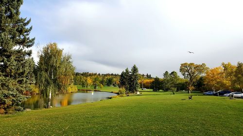 View of trees in park against cloudy sky