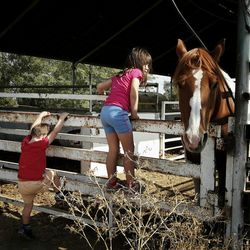 Rear view of siblings playing at ranch