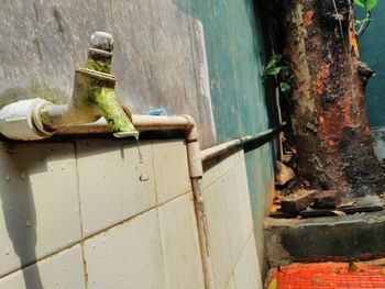 Close-up of lizard on wall