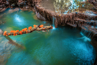 Deep forest waterfall in kanchanaburi province, thailand